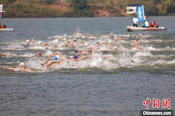 全国200余名马拉松游泳运动员在浙江省衢州市柯